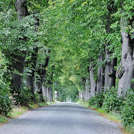 Gutshaus Zicker In Garz Casa de Férias *