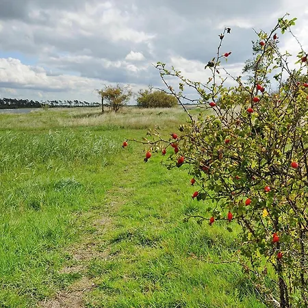Gutshaus Zicker In Garz Casa de Férias Garz (Rugen)