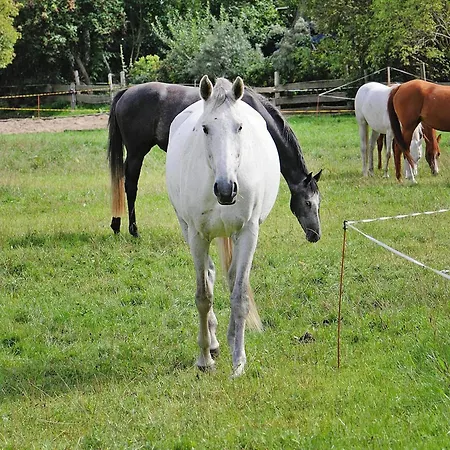 Casa de Férias Gutshaus Zicker In Garz Garz (Rugen)