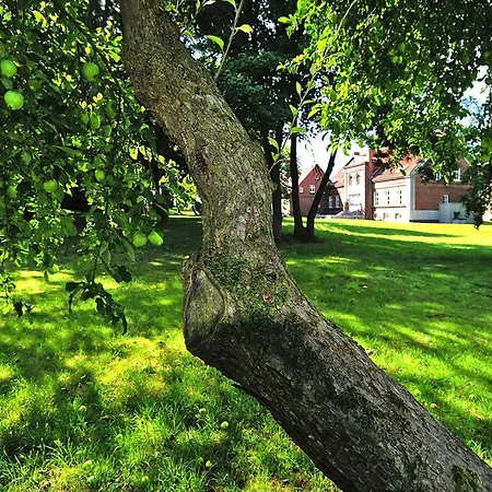 Mansion In Garz With Garden *